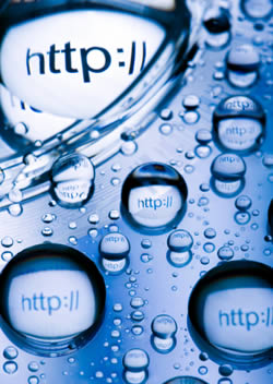 Domain Name Search, E-Commerce Solution, Online Sales
